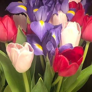 Meet your Posher, Leigh